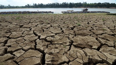 c2419f8c-ebb2-407b-a3c6-c94324019f68_169